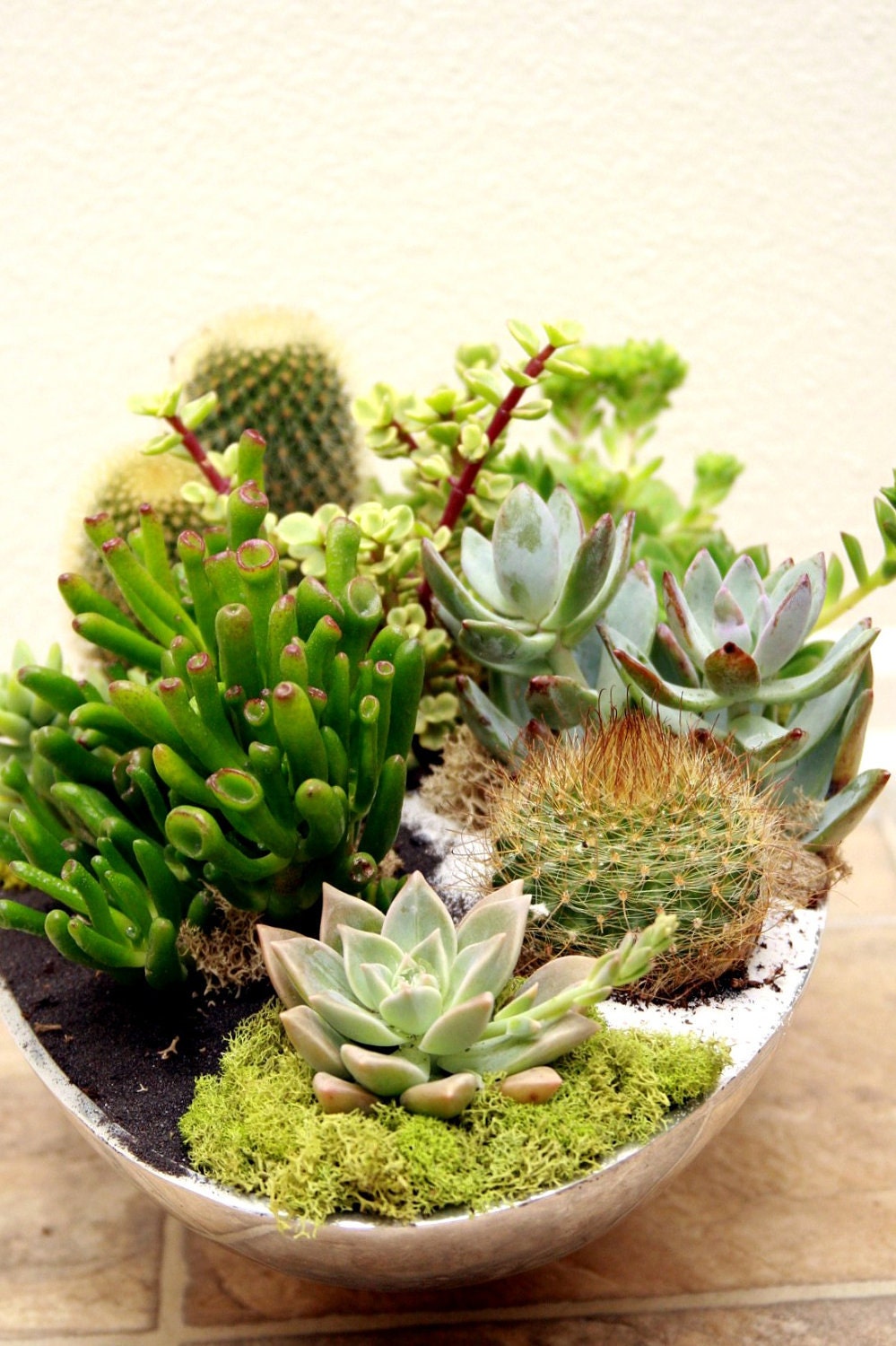 Another World Succulent Centerpiece