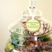 Another World Springtime Enclosed Terrarium
