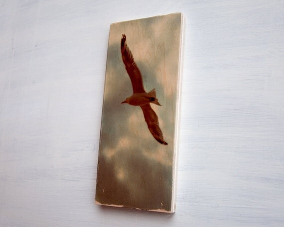 Seagull and Clouds Image Transfer on Wood - by Patrick Lajoie Fine Art Photography