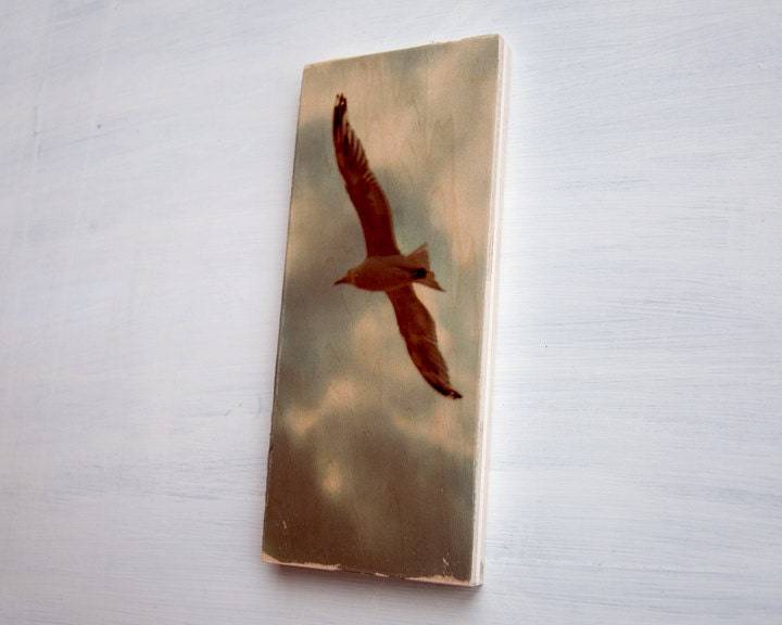 Seagull and Clouds Image Transfer on Wood - by Patrick Lajoie Fine Art Photography