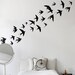 Swallow birds Vinyl Wall Stickers