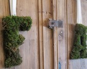 Wedding Decor- Custom Monogrammed Moss Letter of Bride and Groom-Reception Decor-Set of Two Letters