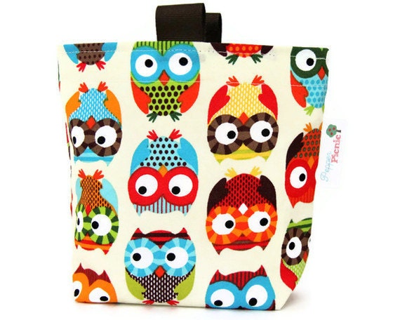 Reusable Snack Bag, Eco Friendly, Gusset and Finger Tabs, Bright Owl Fabric by Alice Kennedy, Aqua, Brown, Red, Orange, Green