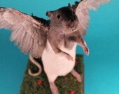 Winged Rat Rogue Taxidermy Piece - custom made to order.