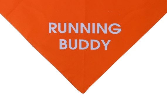 Running Buddy orange dog bandana - Give110 Running Buddy orange dog bandana - Give110