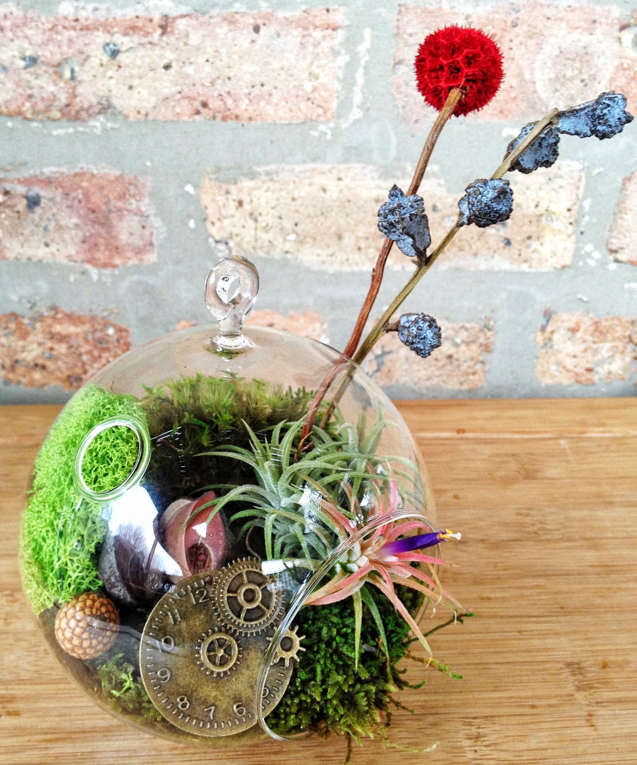 Steampunk Air Plant and Moss Terrarium - A Perfect Birthday or Fathers Day Gift