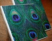 Tile Glitter Peacock Coasters