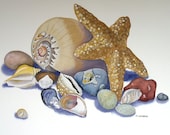 Seashell Starfish Original Watercolour Painting