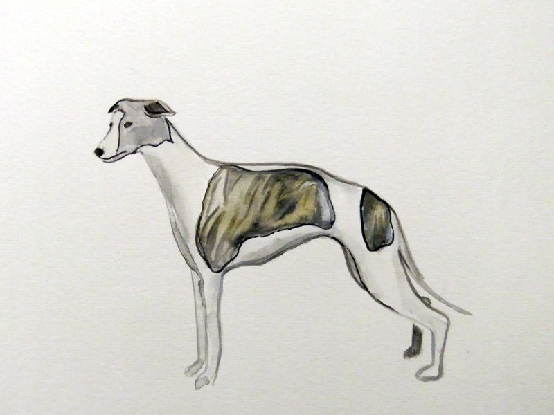 Original Watercolor Painting-Whippet