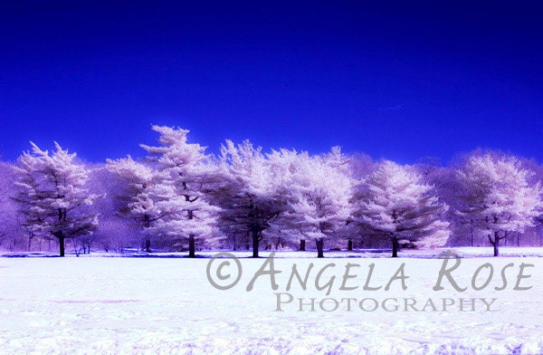 Abstract Winter Landscape - Infrared Photography- Fine Art Print - 8x12- Pink Trees - Snow - Surreal - Dreamy