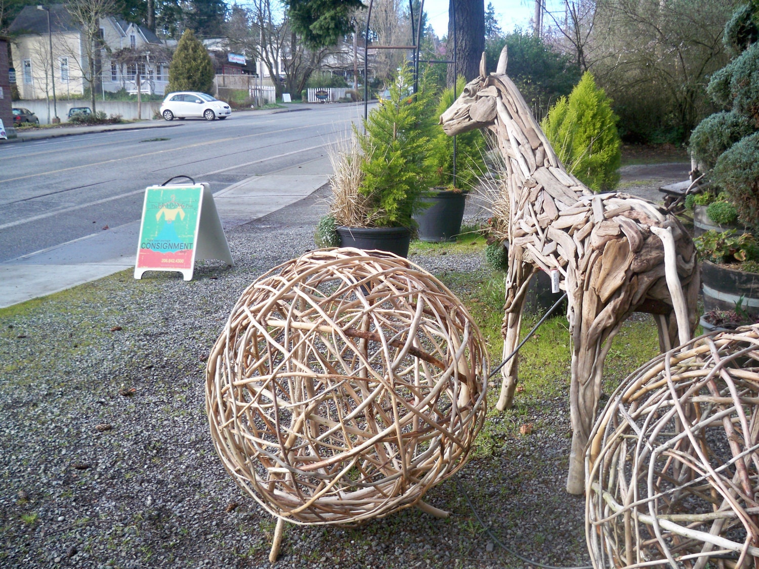 colt made of driftwood,