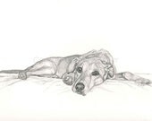 Labrador Dog Fine Art Print Giclee Signed by Deb Gardner - 8x10