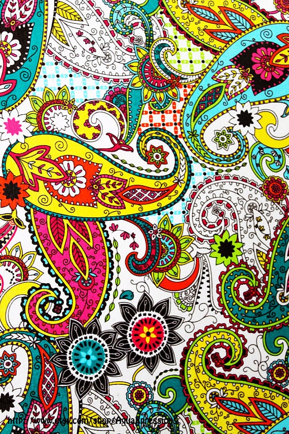 Fabric Wall Canvas Paisley Print /Colorful /Picture Art /Fun & Funky /Gift Ideas Under 20, 25, 30 /Spring Sale