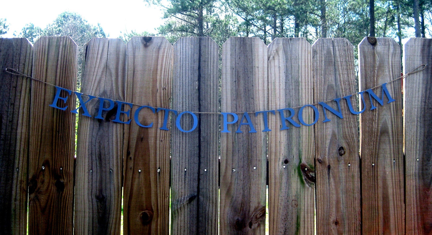 EXPECTO PATRONUM Harry Potter inspired party banner