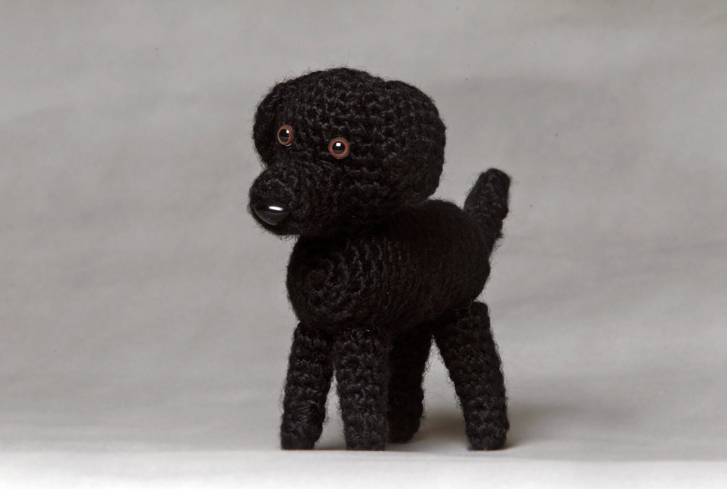 Black Labrador Retriever