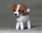 Jack Russell Terrier