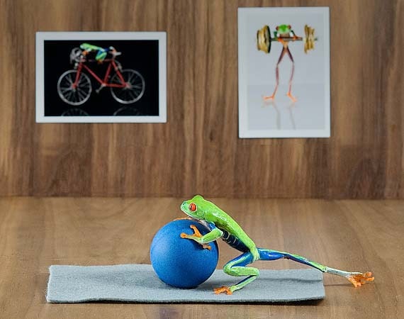 Pilates, Yoga, REAL Frog Photo, Workout, Gym,  Workout Art, 8x10