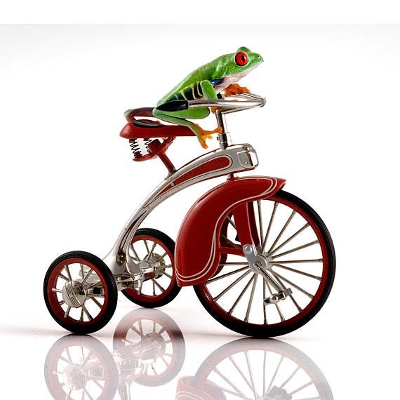 Tricycle Frog, Child's Room Art, Nursery Decor