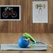 Pilates, Yoga, REAL Frog Photo, Workout, Gym,  Workout Art, 8x10