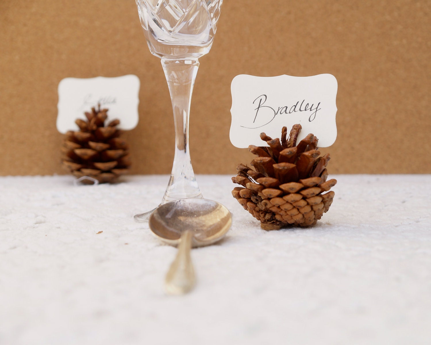 Wedding Place Cards, 100 Pine Cone holders Table Setting Decoration Rustic Country Theme Favor Autumn Fall Brown Wood Woodland
