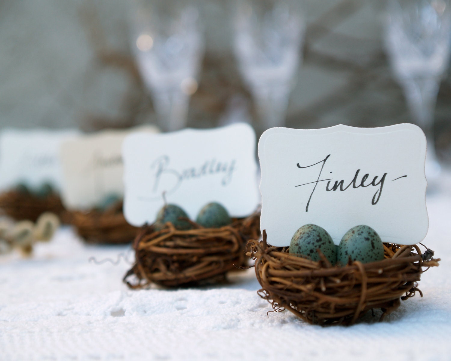 Nest Place Cards Wedding 10 Spring Woodland Seating holder Table Rustic Favor Easter Turquoise Blue Pastel Shabby Chic Bird Baby Shower