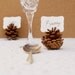 Woodland Wedding Place Cards, 20 Pine Cone holder Table Setting Rustic Country Theme Favor Autumn Fall Winter Christmas Brown Wood Masculine