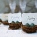 Nest Place Cards Wedding 10 Spring Woodland Seating holder Table Rustic Favor Easter Turquoise Blue Pastel Shabby Chic Bird Baby Shower