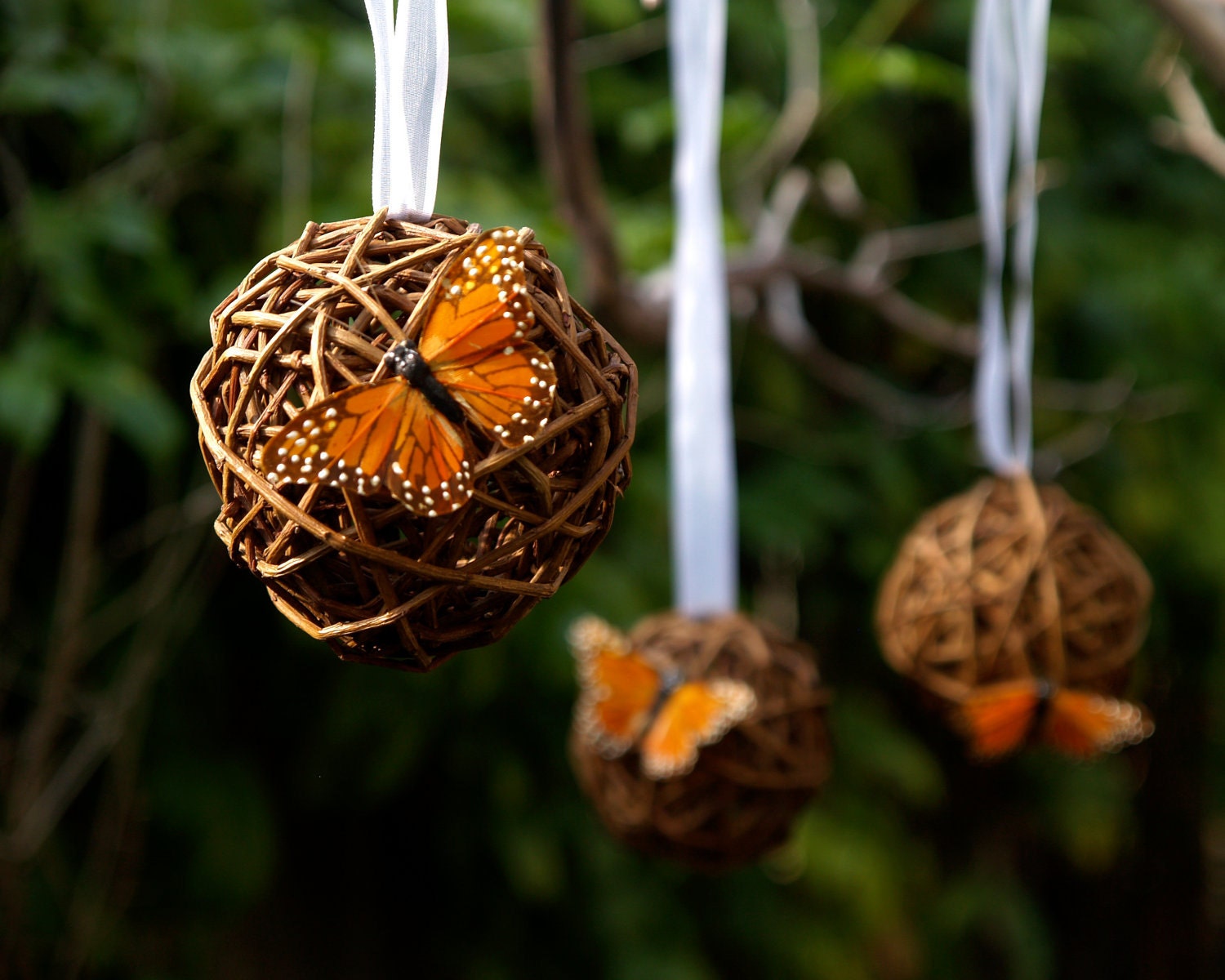 Rustic Wedding Pomanders Decoration Butterfly Country Romantic Bohemian Shabby Chic Spring Bride Fairytale Orange Photo Prop Photograph 3