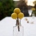 Bridal Bouquet for your Wedding, Yellow Craspedia Flowers, Needle Felt, Everlansting, Billy Button Balls, Classic Country Bride Spring