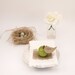 Apple Escort Cards, Country Wedding Guest Name Place Cards for your Wedding Table Decoration, Barn, Rustic, Farm, Green
