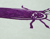 Papercut Roach
