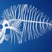 Papercut Fish Skeleton - Original Hand-cut Paper Artwork - Skeletal Series