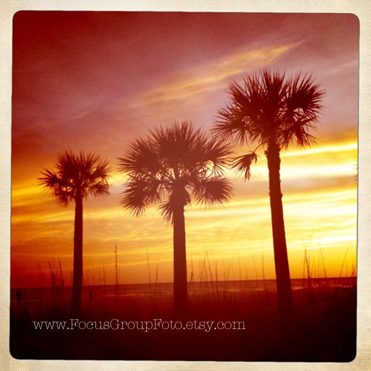 Palm Trees photograph Beach Sunset Metallic Paper 70's Retro Yellow Home Decor by Tabora