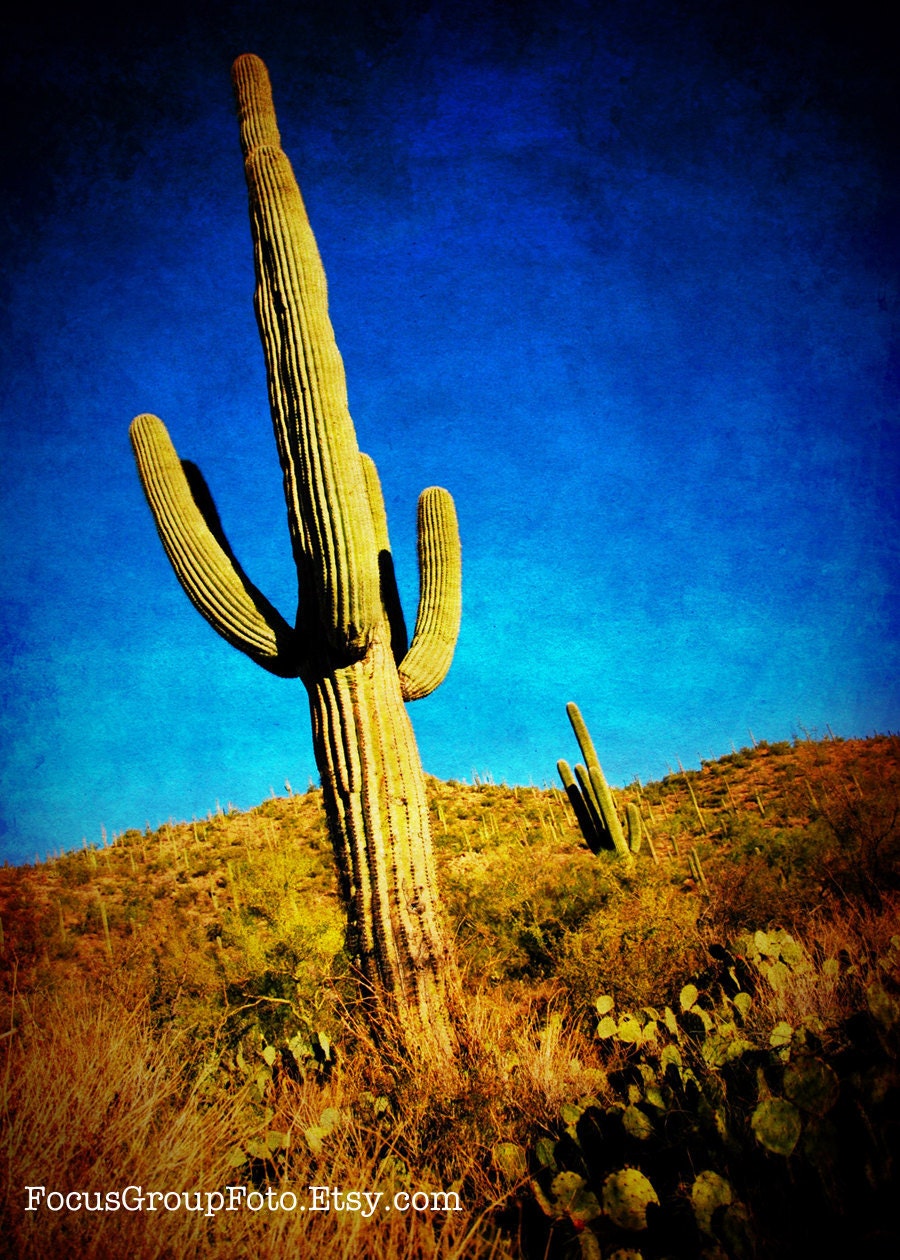 Cactus Photograph Southwest Arizona Saguaro Sonoran Desert Blue Yellow Green Home Decor by Tabora
