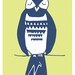Owl    2 Color Limited Edition Screen Print