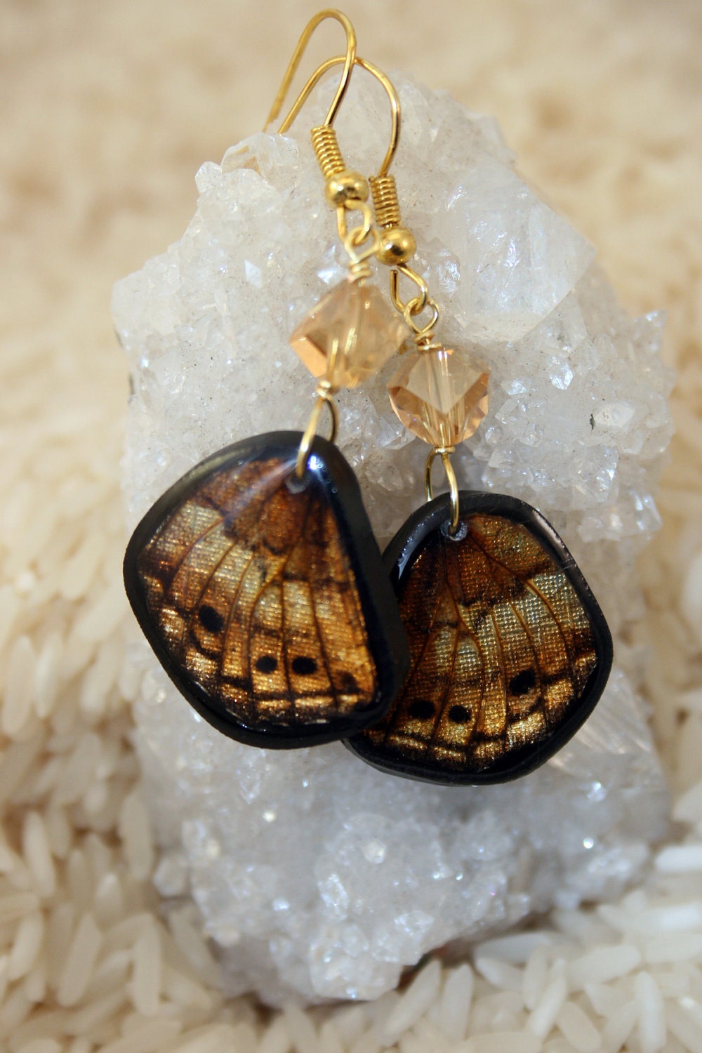 Butterfly Earrings, Real Butterfly Wing Earrings - OOAK -Gold Tone Wing - Gold tone wire -  Resin Finish
