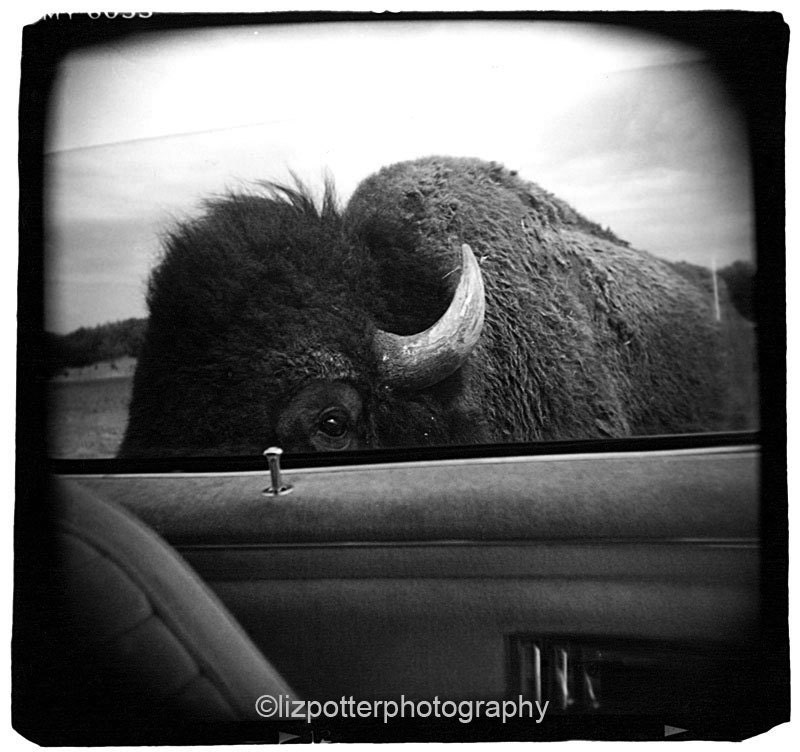 Holga photo - Kerrville, Texas