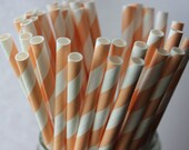 20 Light Orange Peach Striped Paper Straws and Printable Flag Toppers