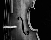 Custom Listing for AM 24 x 36 Black and White Fine Art Photography Print, Cello Front Bridge and Strings