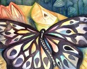 Just Living -  Watercolor butterfly Original Lauren Alexander large painting