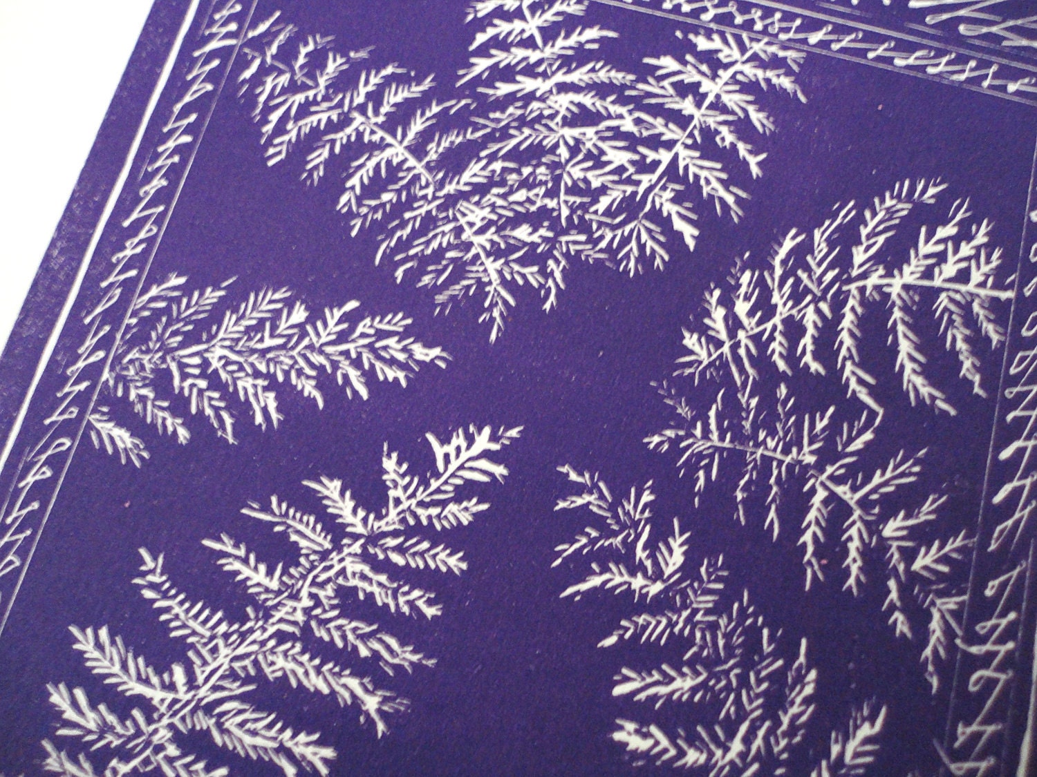 ORIGINAL LINOCUT "Fern". (detail)