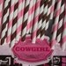 200 Pink & Chocolate Brown Cowgirl Paper Straws with DIY flags