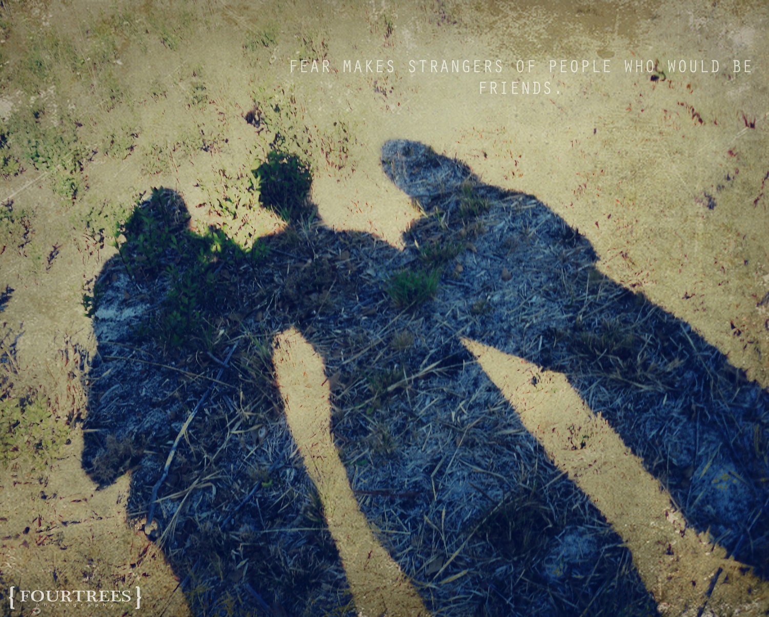 Friends - 8x10 best friend photography print strangers photograph forest sage green grass shadows wall art home room decor quote silhouette