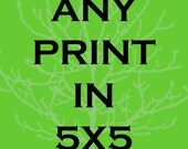 Any print 5x5- Custom size printed photo print photography choose pick your favorite photograph wall art home nursery room decor