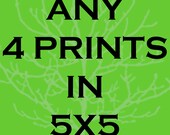 Any Four Prints 5x5 - Custom size pick choose your favorite photography prints photos home decor nursery office wall art promo promotion