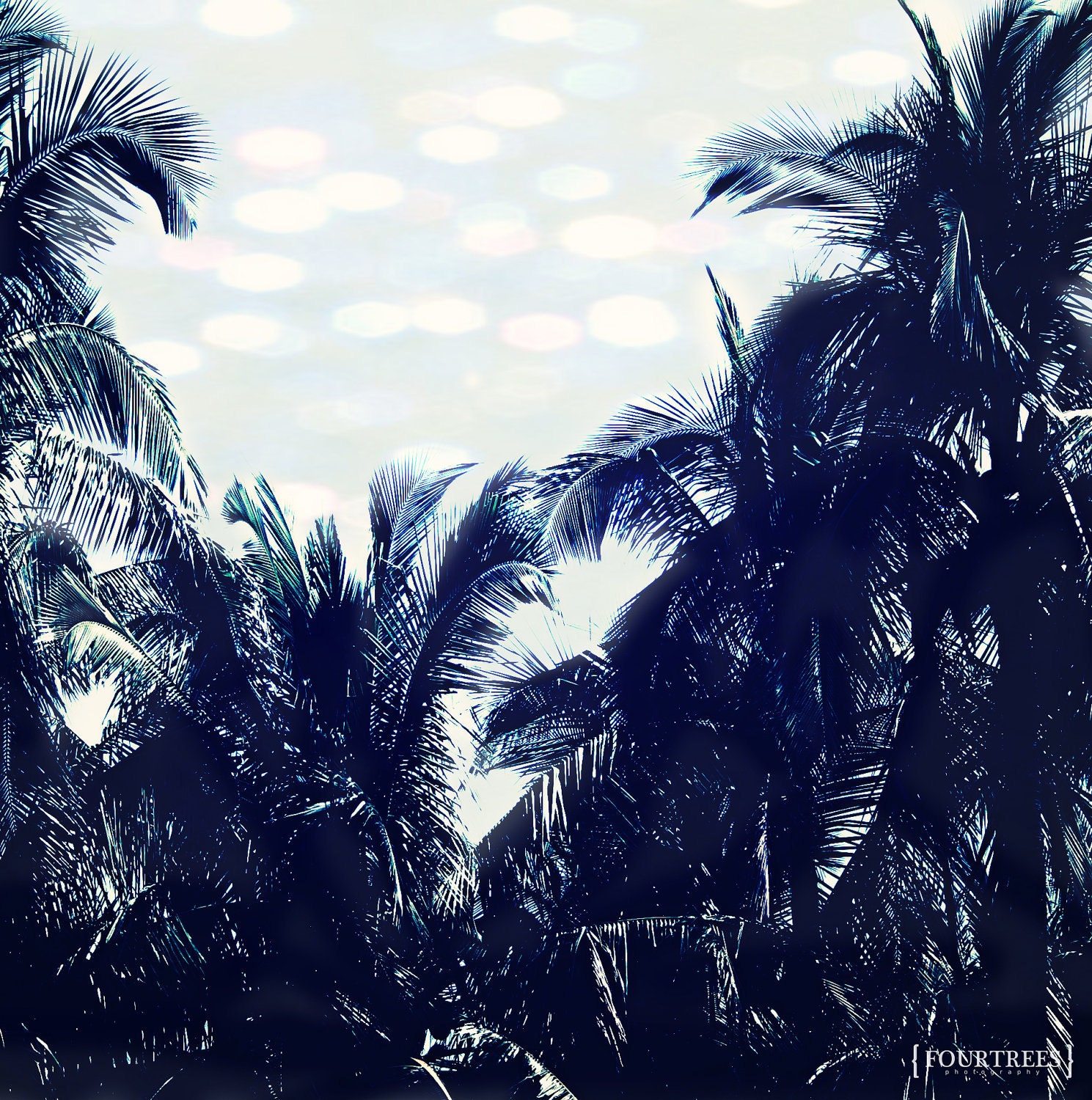 F-Stop Blues - 5x5 Palm tree photography landscape print bokeh palms trees navy deep light blue beachy beach home decor nursery wall art