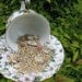 Floral Tea Cup and Saucer Bird Feeder.