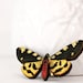 Fashion Butterfly Ring, Spring Trends, Yellow and Black, Garden Woodland Insect Adjustable Ring