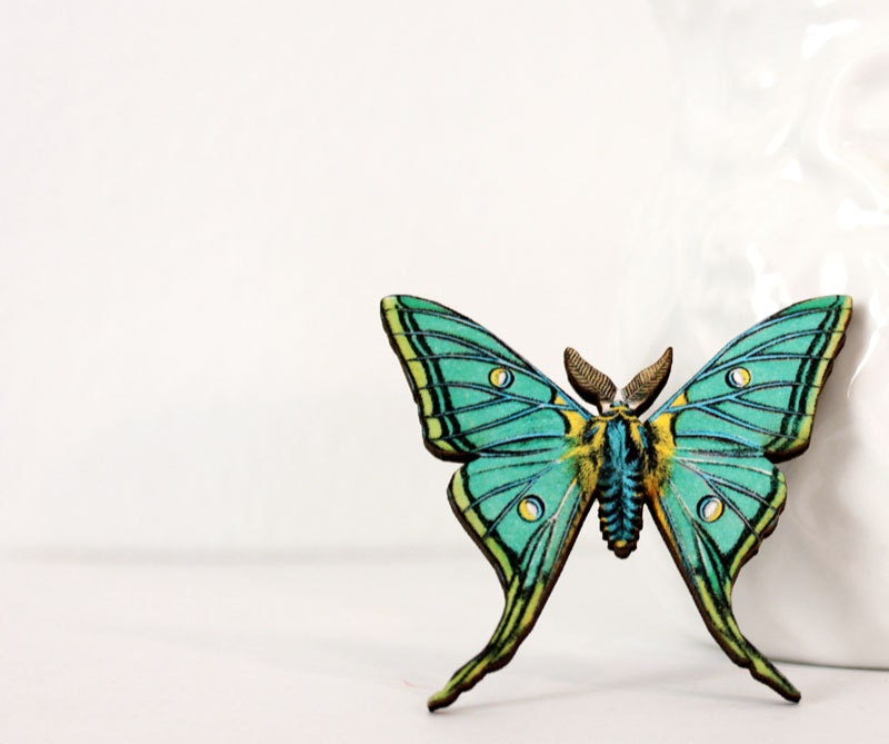 Insect Butterfly Pin Nature Brooch, Woodland Insect Pin, Vintage Style, Garden Teal