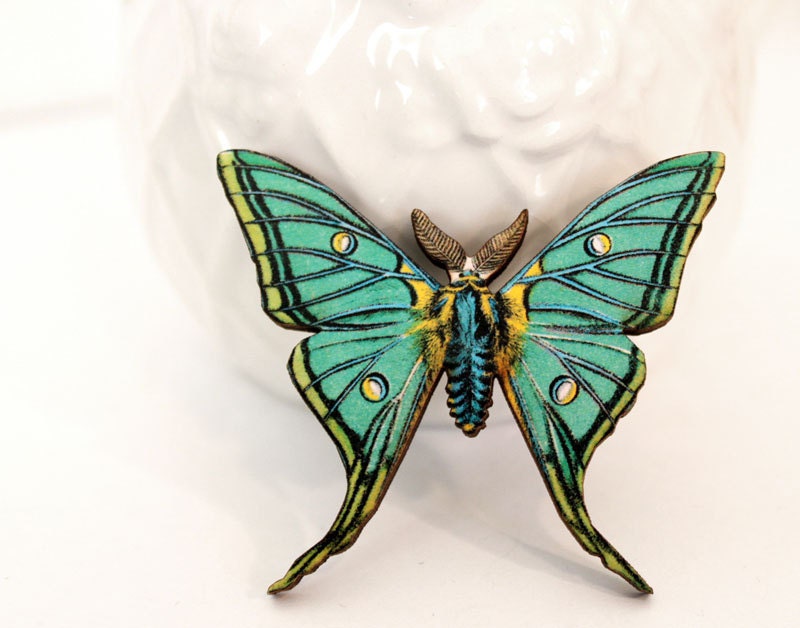 Insect Butterfly Pin Nature Brooch, Woodland Insect Pin, Vintage Style, Garden Teal